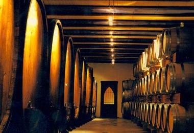 barrells inside Vilmart Champagne