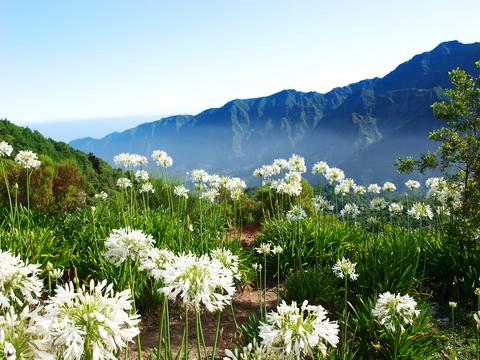 view of Madeira