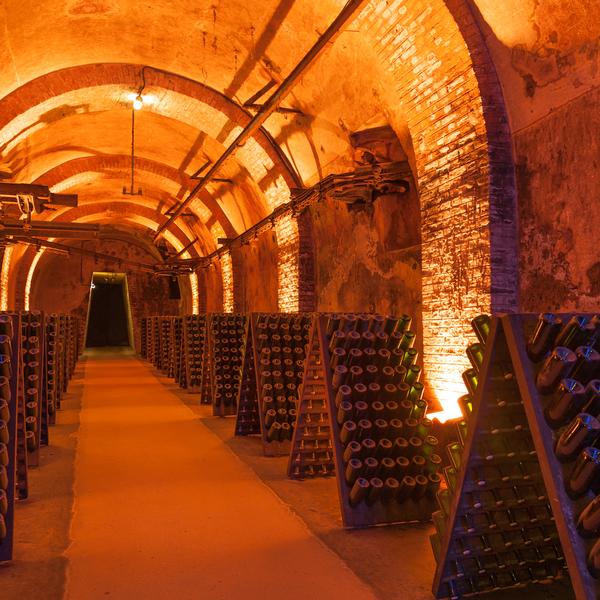 Champagne cellar in Reims, France