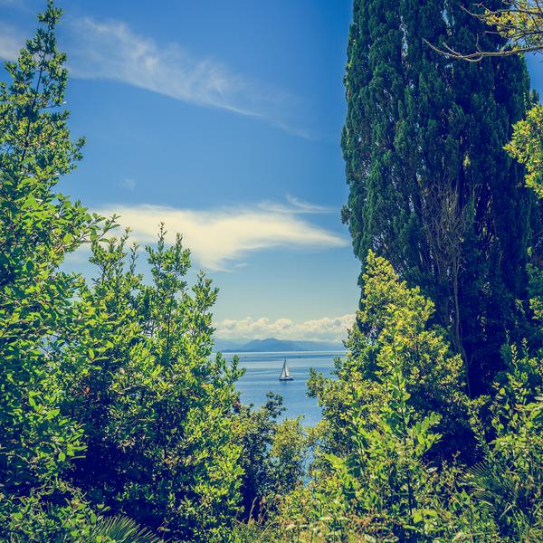 The garden at Mon Repos in Corfu