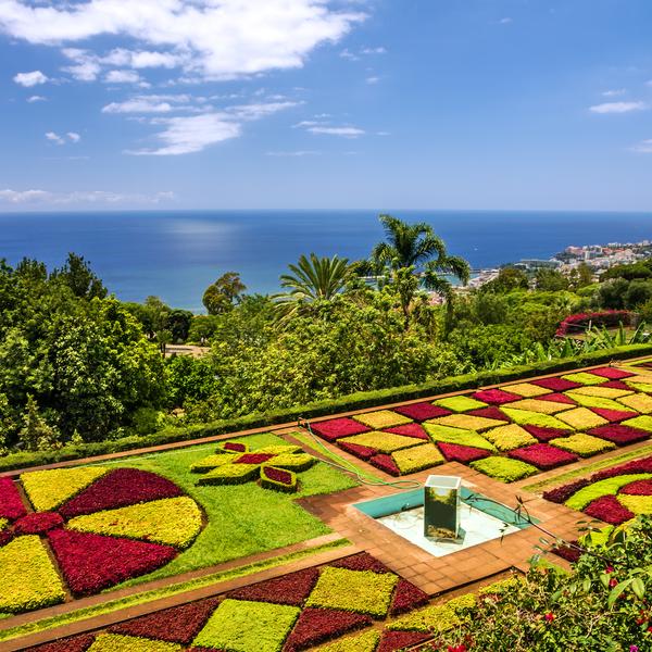 Madeira tropical botanical gardens
