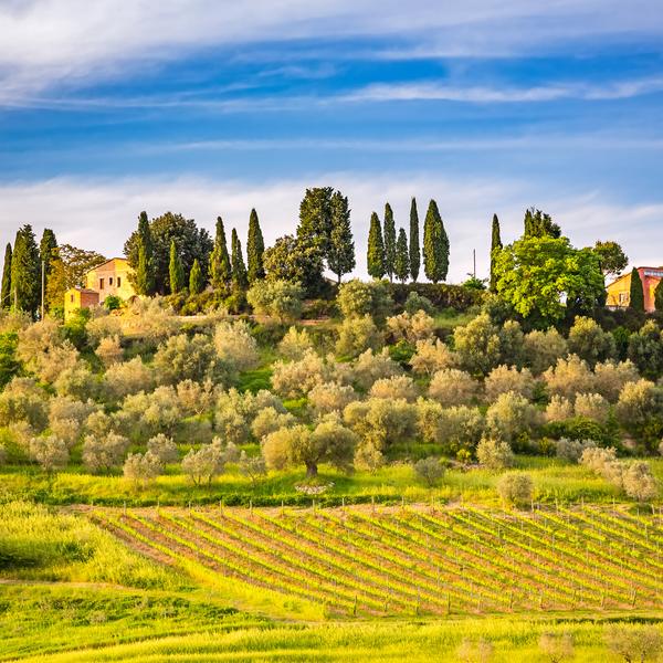 A Tuscan hillside in Italy