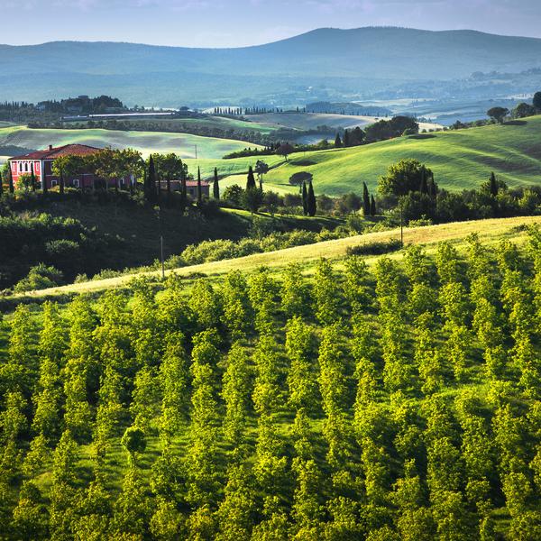 Countryside in Tuscany in Italy