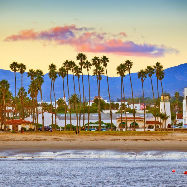 Palm trees lining Santa Barbara beach in California, USA