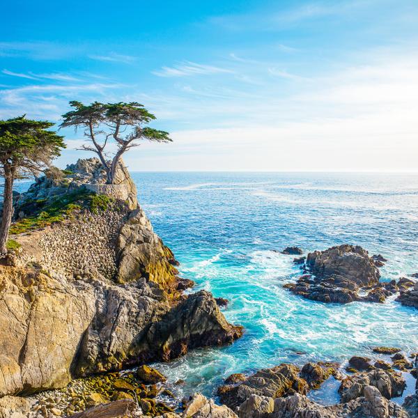 The Lone Pine on 17 Mile Drive, California, USA