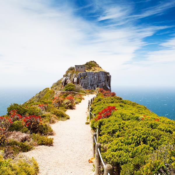 Cape Point Nature Reserve