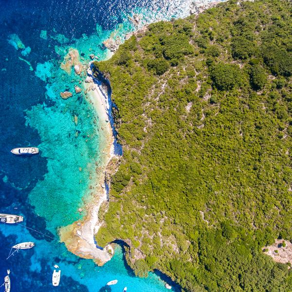 Anti paxos